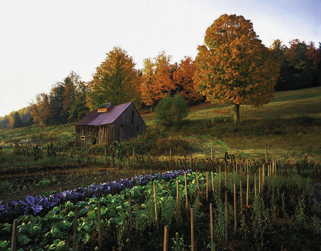 52406094.E.CorinthVt2-Edit.jpg