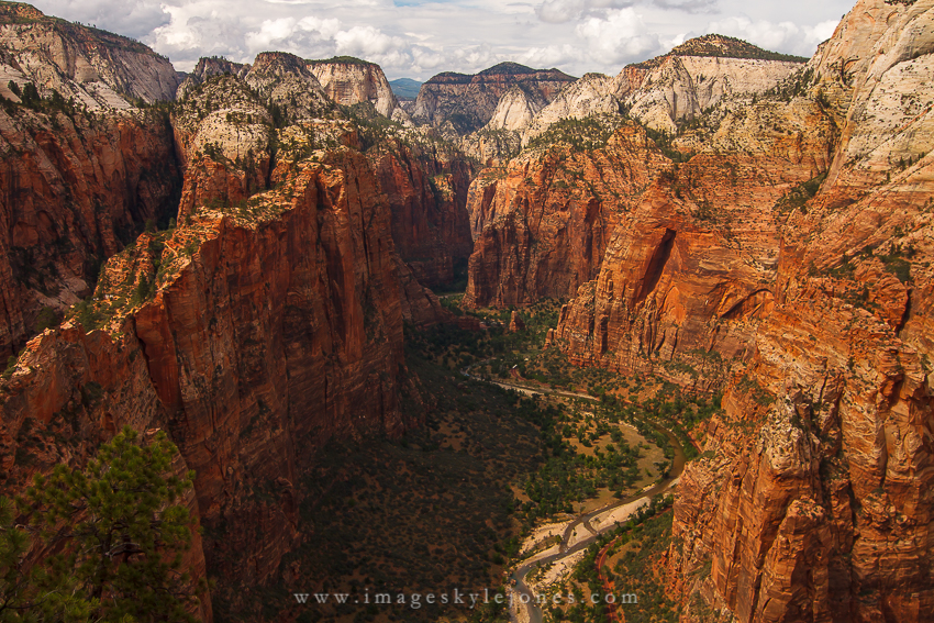 5361 Zion Canyon_850.jpg