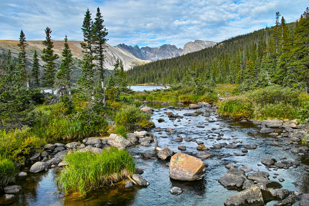 54940440338_c92014082e_k.jpg