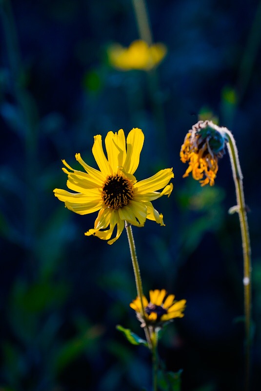 5B7CF711-AA71-4D90-B767-FF89F341F7FD.jpeg