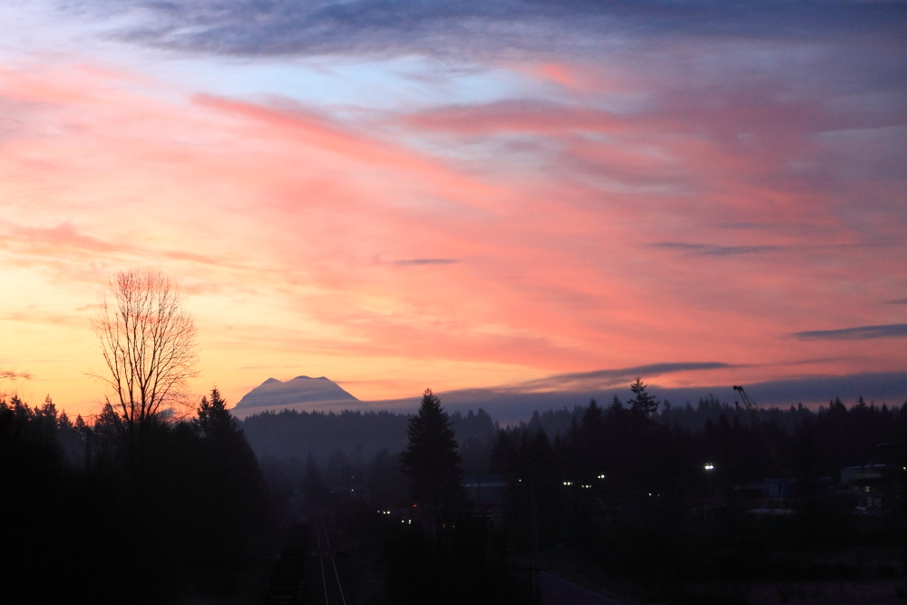 5D2_0446_130325_w.JPG