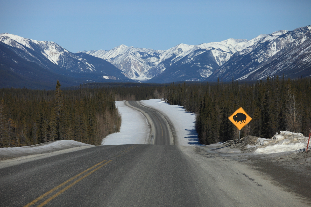 5D2_1035_130327w.JPG