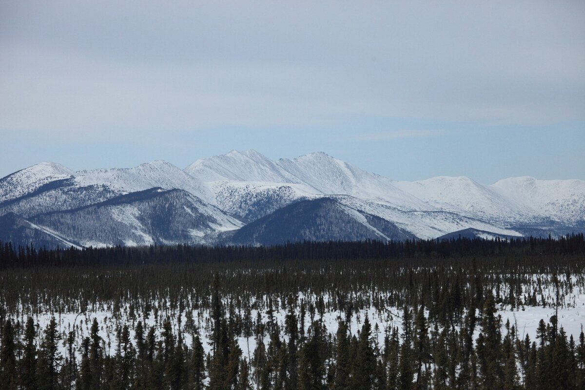 5D2_1461_130328w.JPG