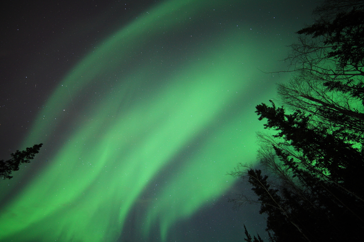 5D2_1566_130328_p1.JPG