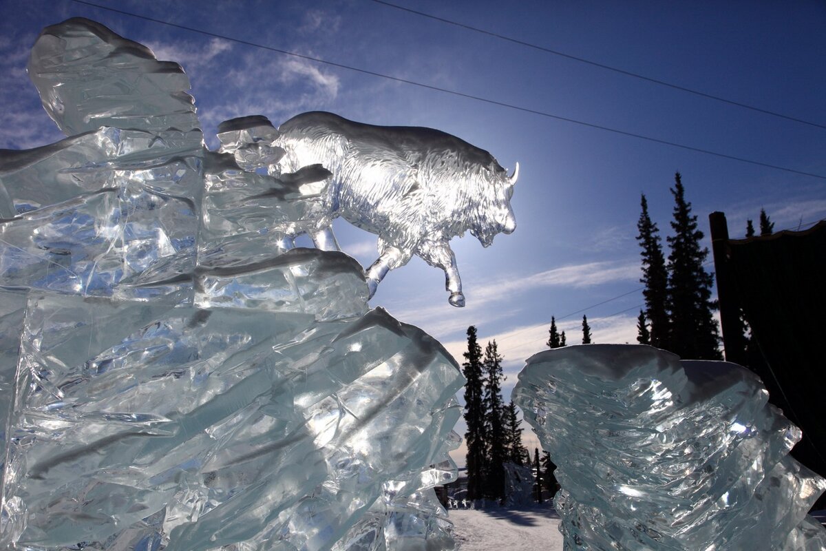 5D2_1652_130329w.JPG