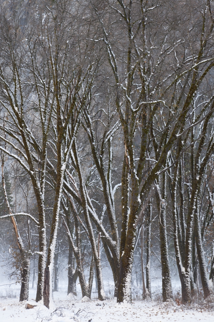 5D2_2650_221221w.jpg