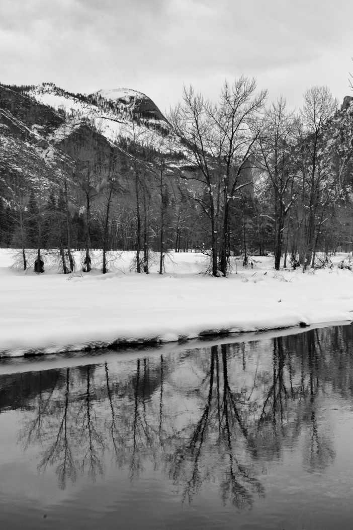 5D2_2833_190212_SE1-vert-w.jpg