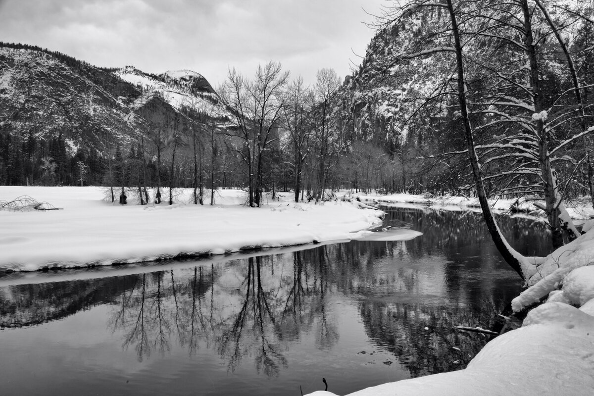 5D2_2833_190212_SE1w.jpg