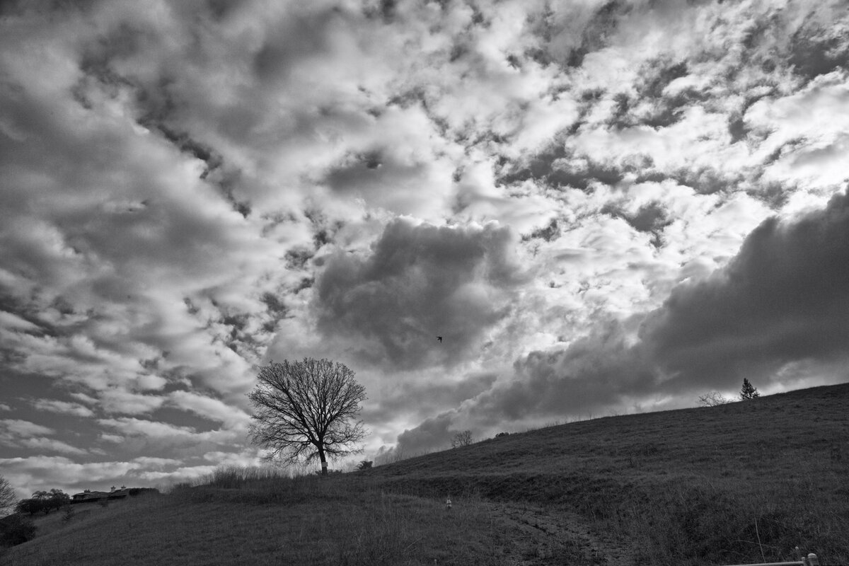 5D2_3038_230129_SE1w.jpg