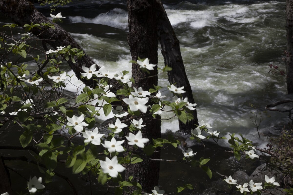 5D2_4164_190508w.jpg