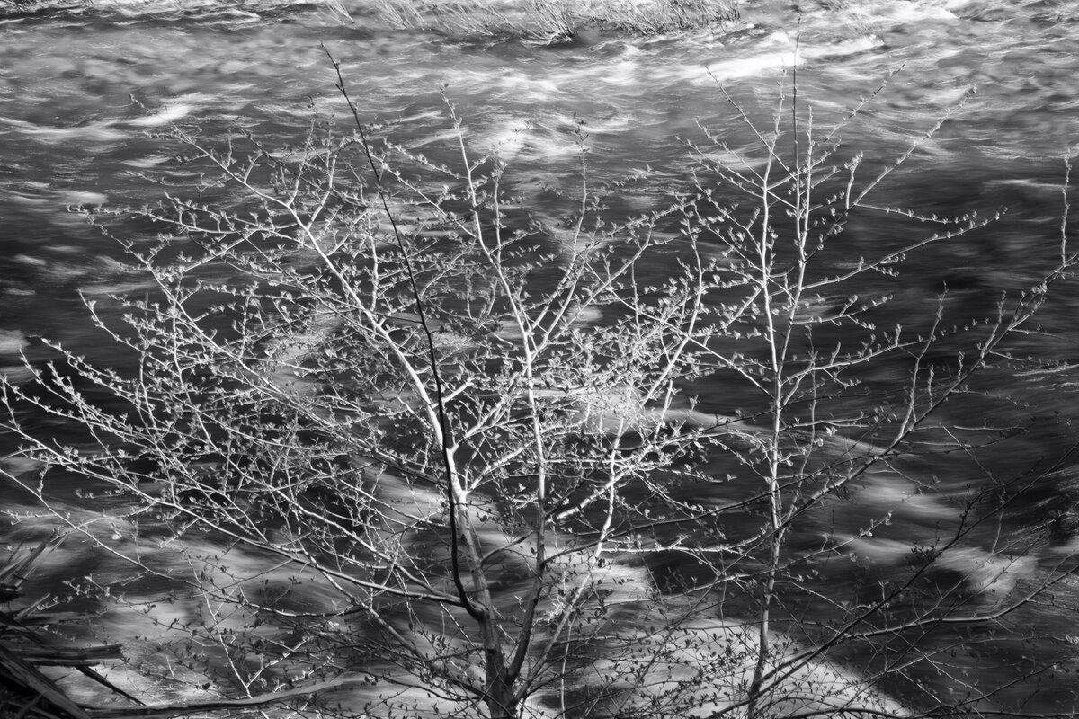 5D2_7539_230510_SE1w.jpg