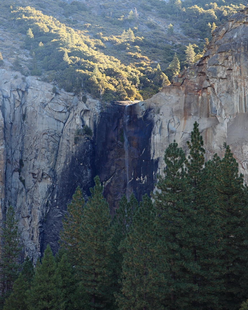 5D2_8295_121020w.JPG