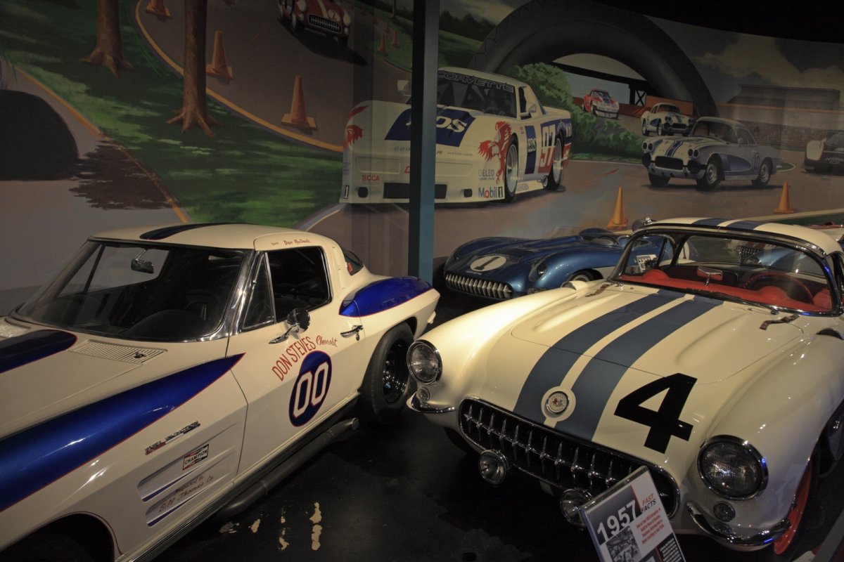 5D2_8446_171010w.jpg