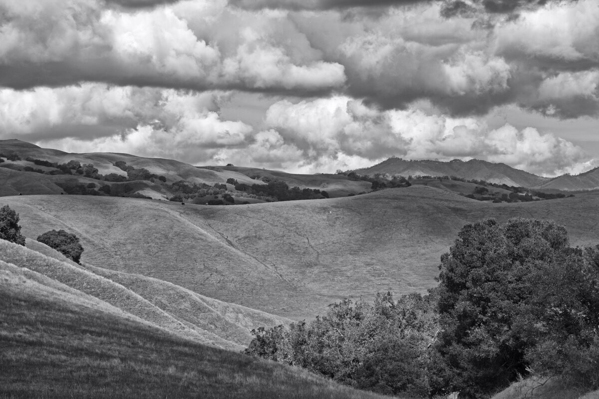 5D2_8728_240221_SE1w.jpg