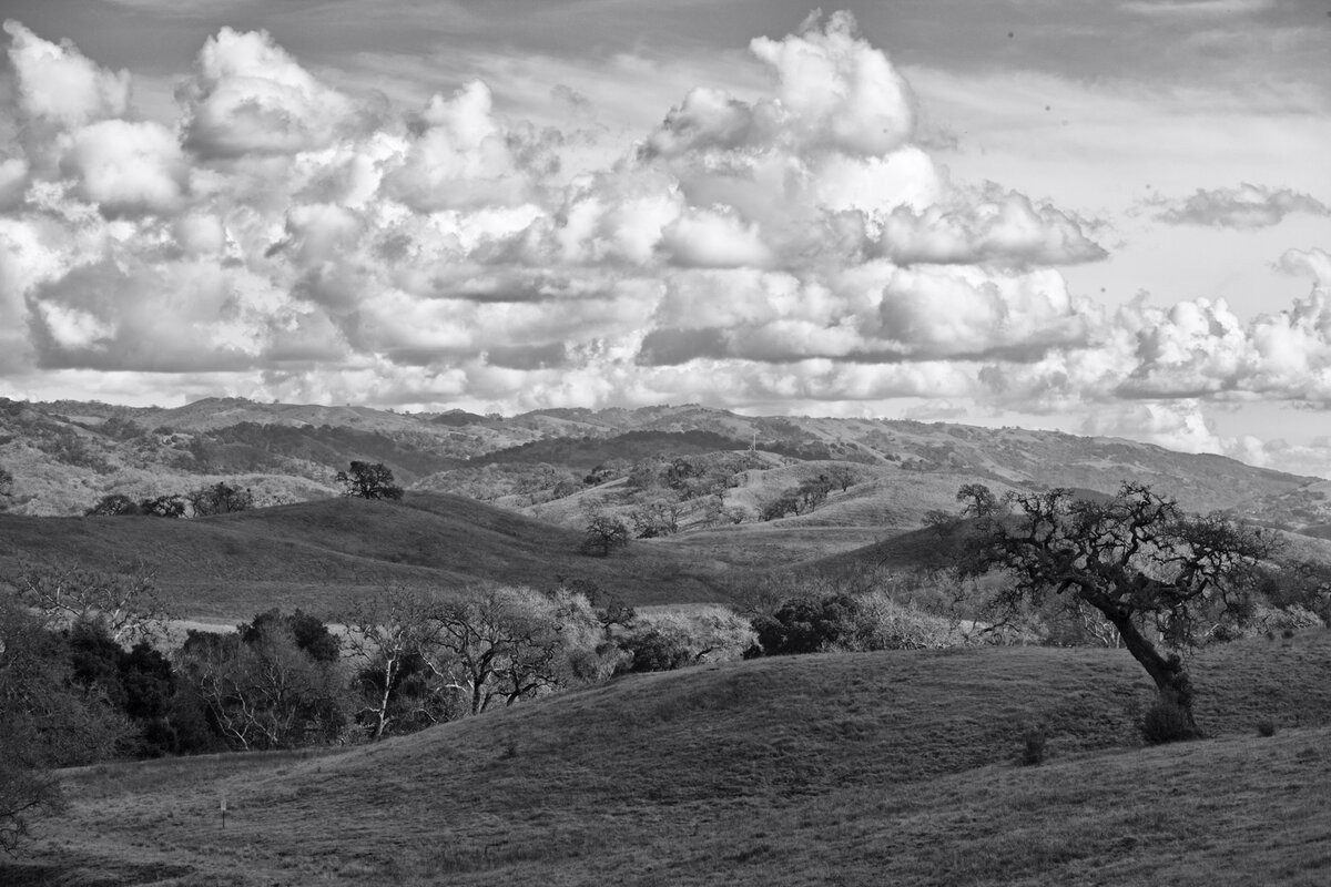 5D2_8767_240221_SE1w.jpg