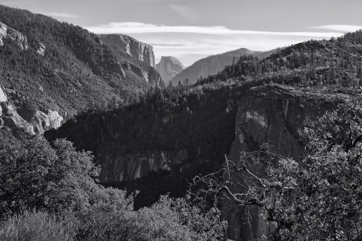 5D2_8955_211031_SE1w.jpg