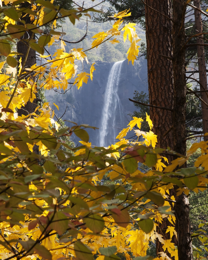 5D2_9003_211031w.jpg