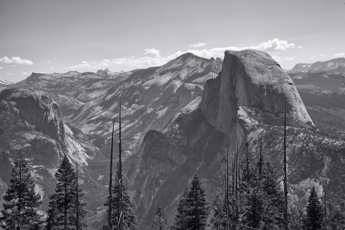 5D2_9759_250606_SE1w.jpg