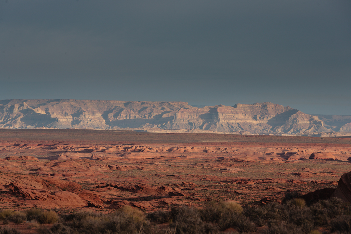 5D_1428-1.jpg