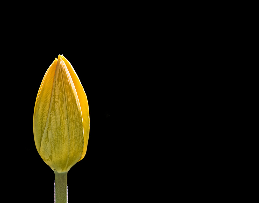 5D_2383.jpg