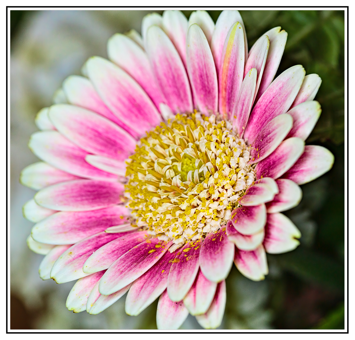 5DSR0814.jpg