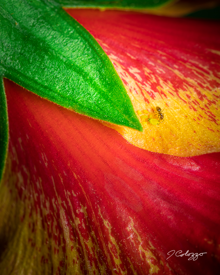 5W2A0454-Edit.jpg