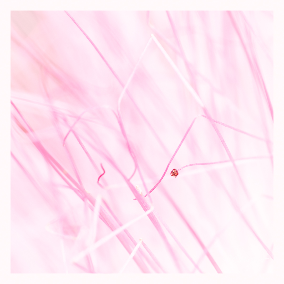 5W2A6488-Edit-2.jpg