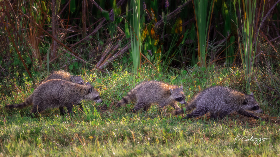 5W2A8540-Edit.jpg