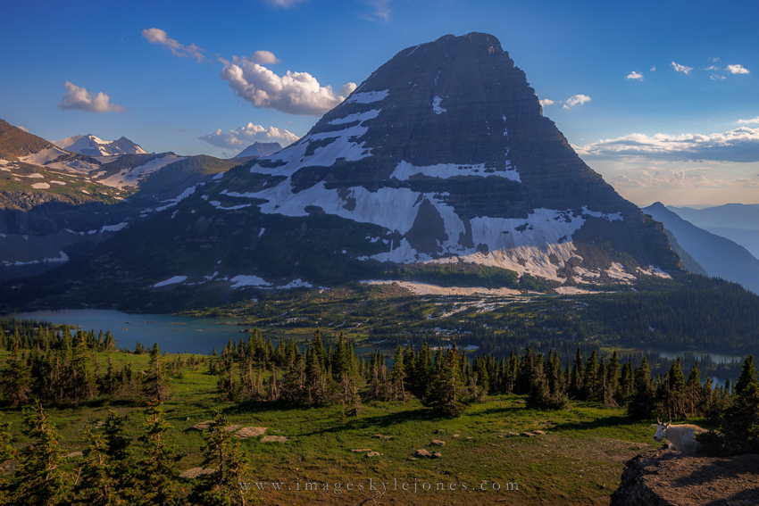 Enjoying the View | Focal World