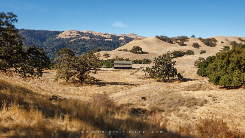 6745 Mini Barn_850.jpg