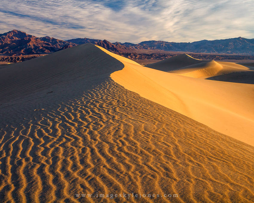 6847 Mesquite Dunes Landscape_850.jpg