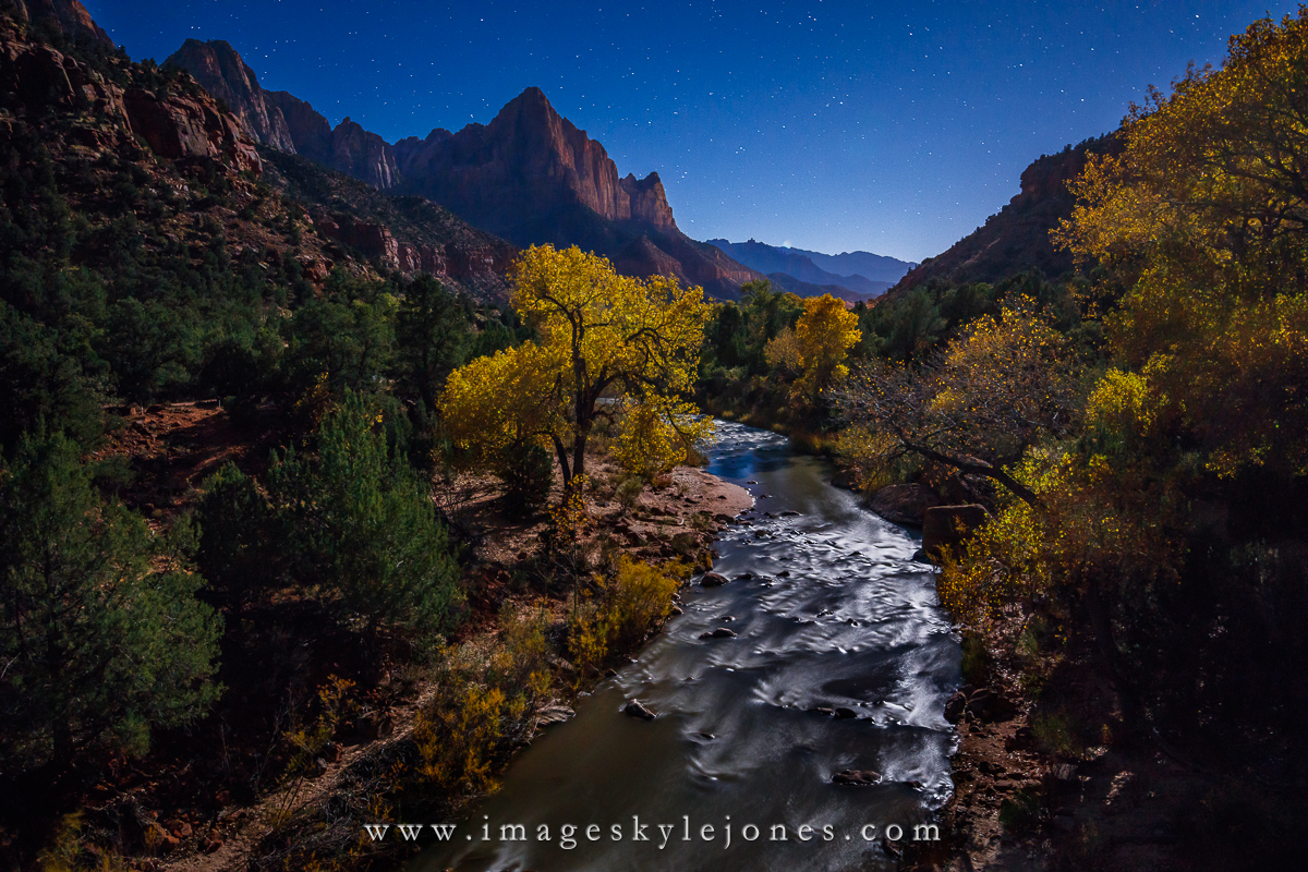 6979 Watchman Night_1200.jpg