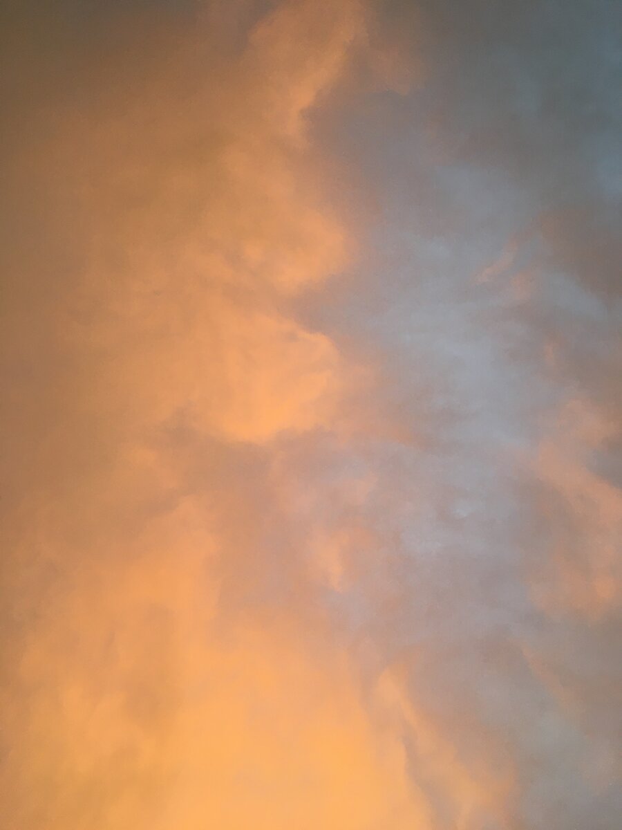 6D2F1234-93FC-455B-891B-5CF1303B79D8.jpeg