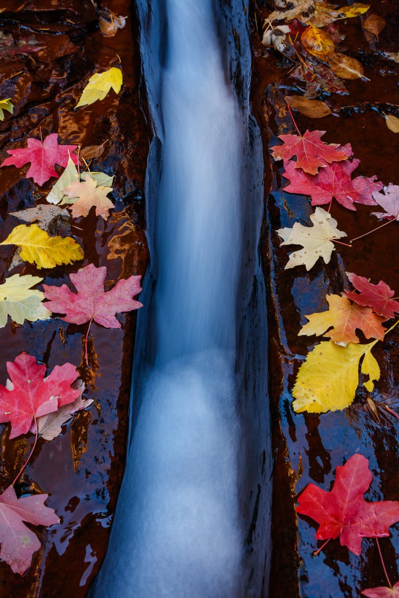 7015 Subway Crack Autumn_Website.jpg