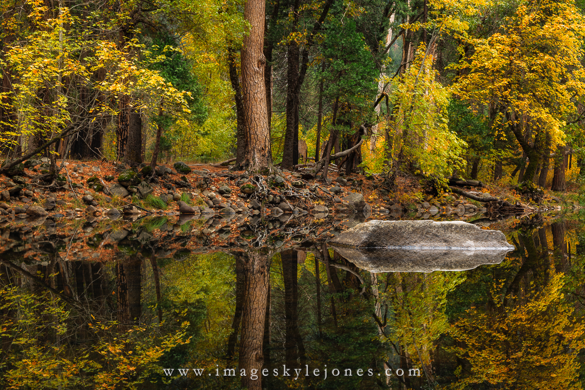 7019 Merced Autumn Reflections_1200.jpg