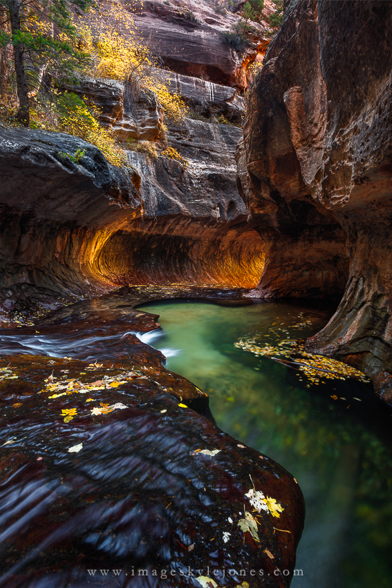7083 Subway Autumn Portrait_850.jpg