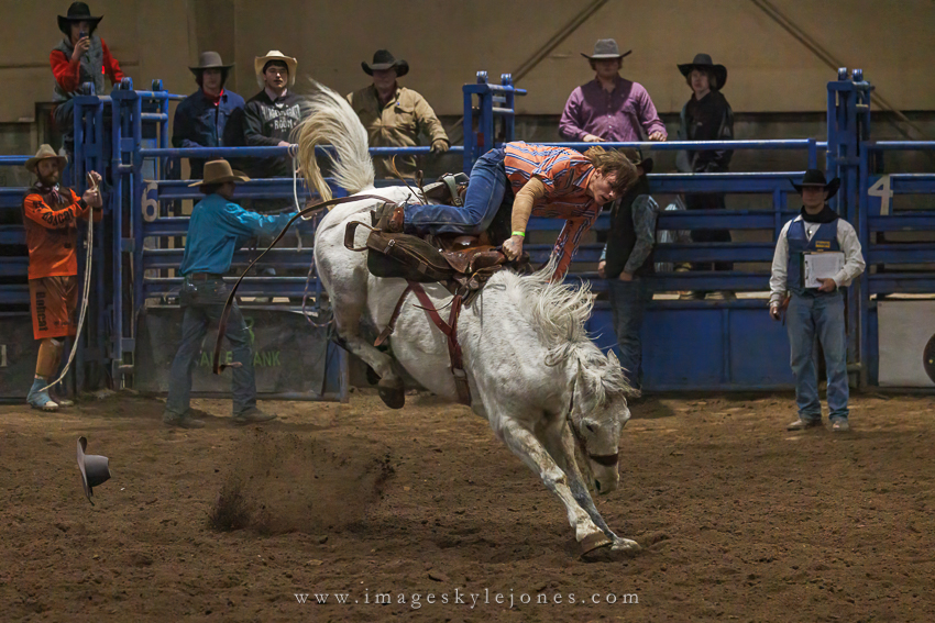 7168 Horse Fall_850.jpg