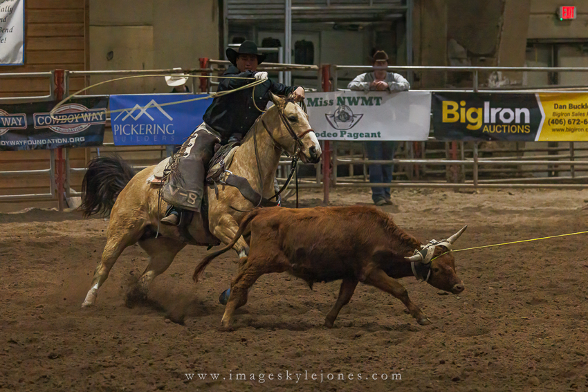 7216 Roping_850.jpg