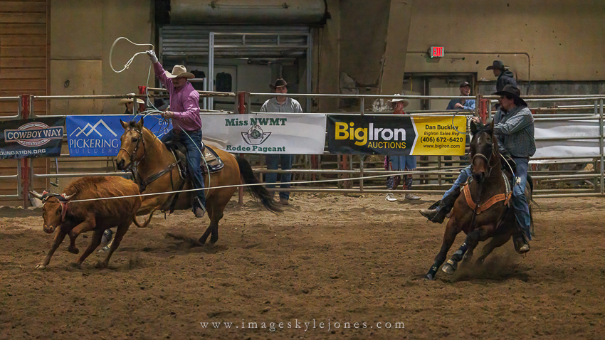 7249 Team Roping_850.jpg