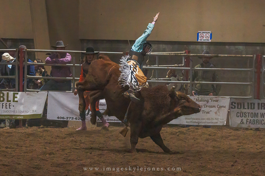 7318 Bull Riding_850.jpg