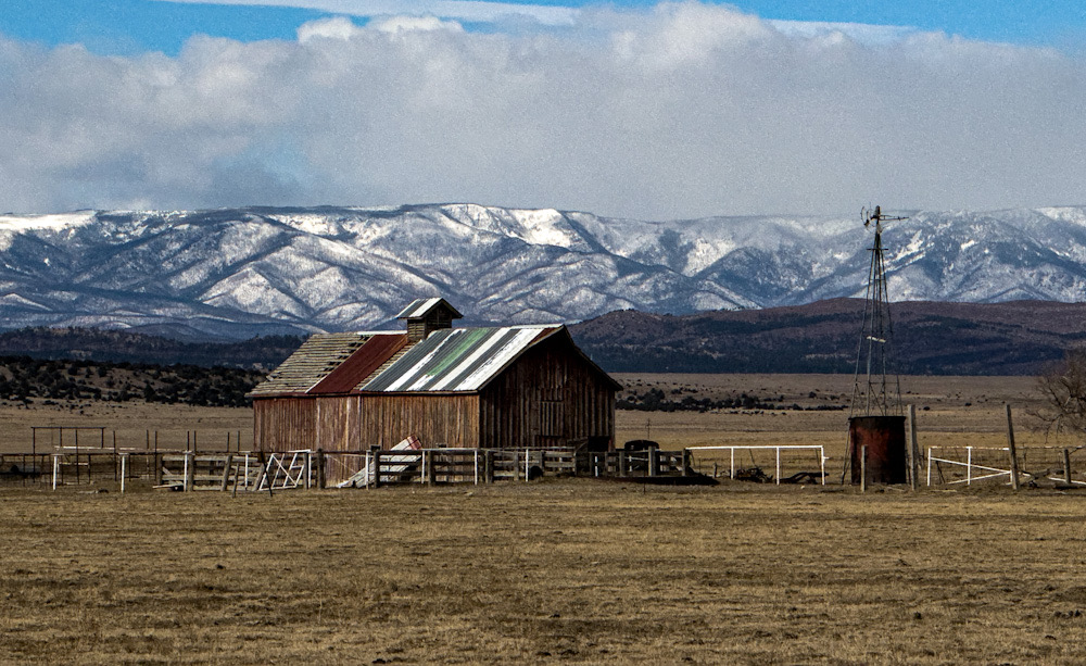 73F3799C-97BD-4DDB-8D44-F8799C5235F0.jpeg