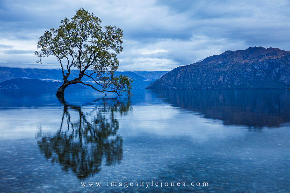 7979 Wanaka Reflections_1200.jpg