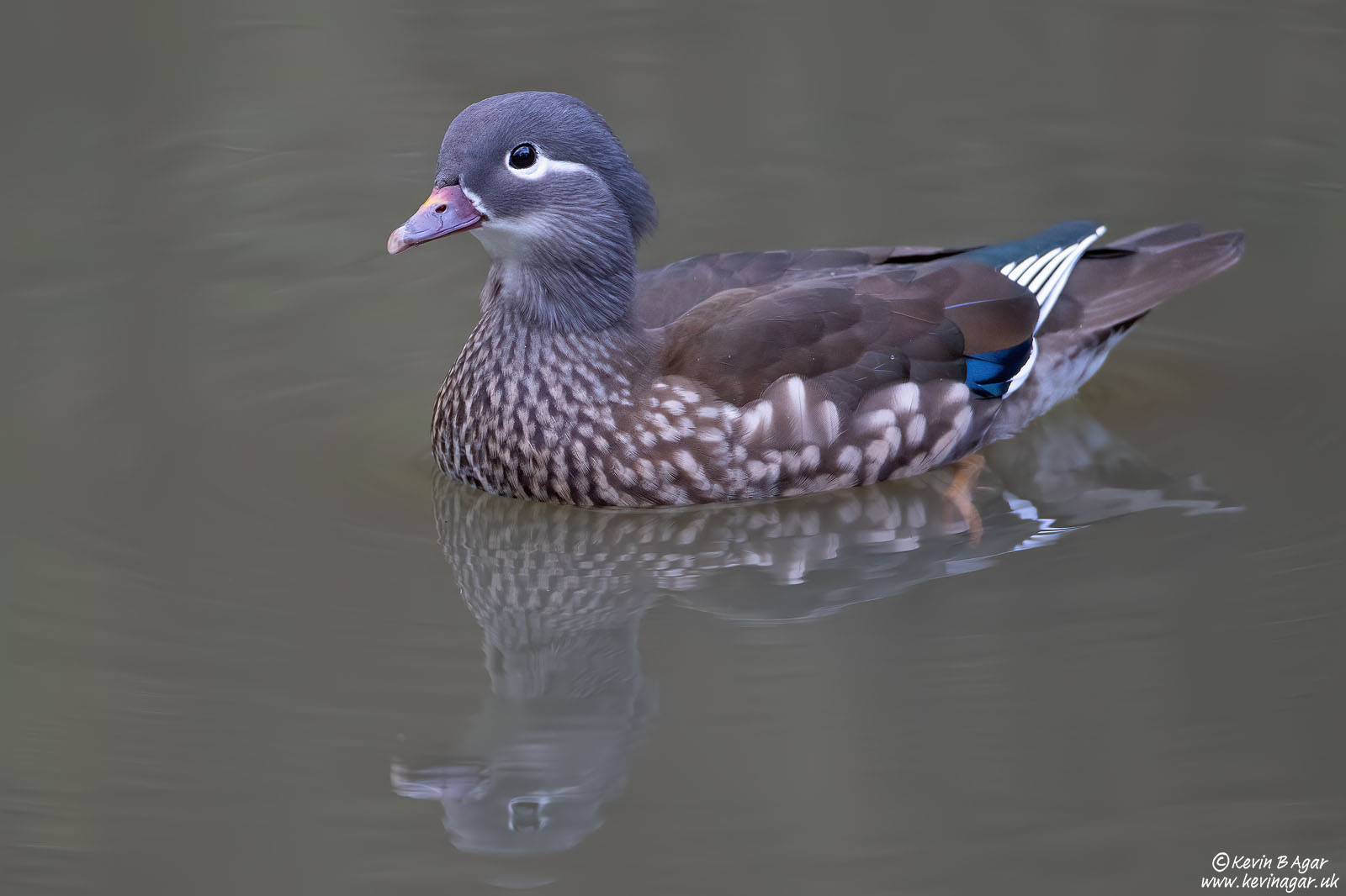 7D2_3979.jpg