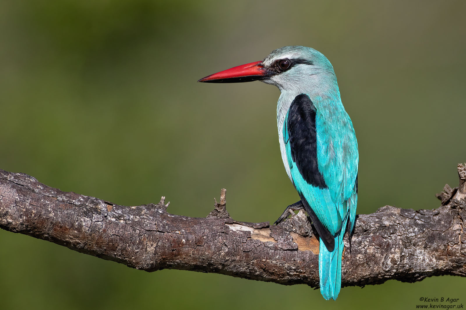 7D2_6223.jpg
