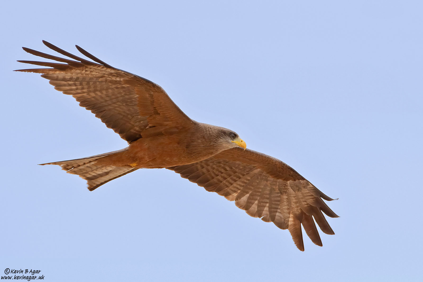 7D2_6724.jpg
