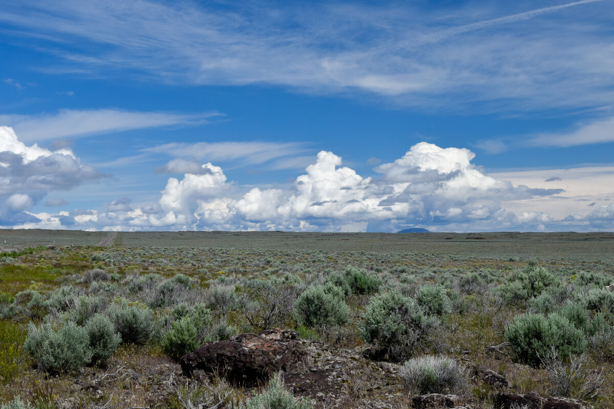 8-Oregon19-Lr-4793.jpg