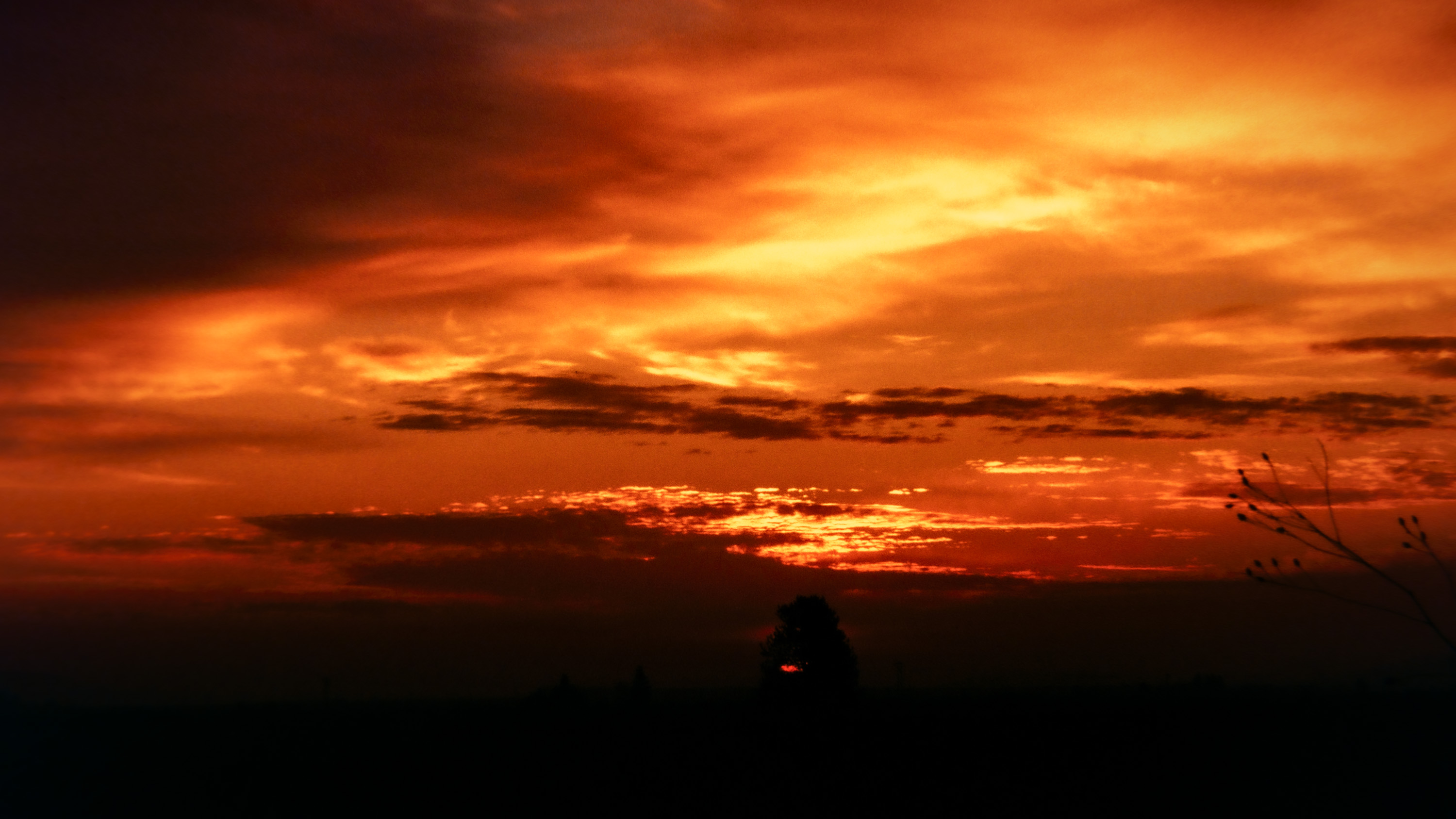 81 nov k64 220211-27587-R5.jpg