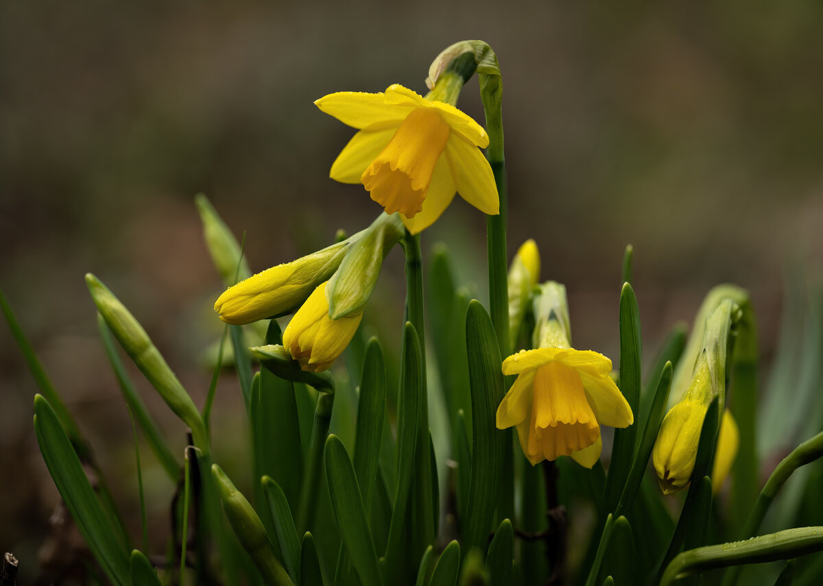 8106 8107 merge copy.jpg