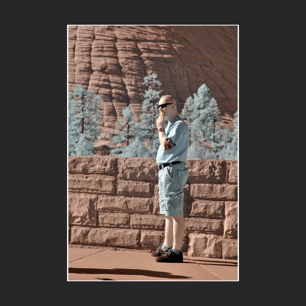 817.jpg