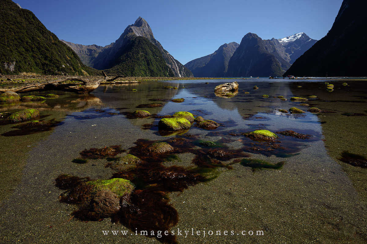 8216 Milford Sound Rocks_1200.jpg
